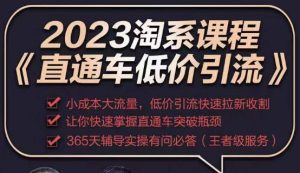 2023直通车低价引流玩法课程,小成本大流量,低价引流快速拉新收割,让你快速掌握直通车突破瓶颈-知一资源网