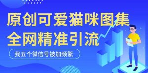 黑科技纯原创可爱猫咪图片，全网精准引流，实操5个VX号被加频繁-知一资源网