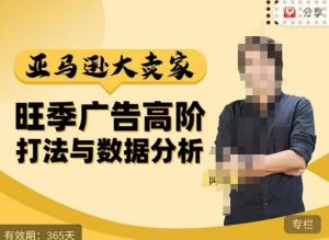阿甘·亚马逊大卖家广告高阶打法与数据分析,走出传统广告误区;揭秘大卖惯用打法;数据驱动广告决策-知一资源网