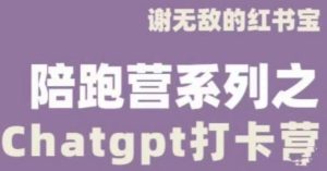 谢无敌ChatGPT打卡营,教你更好地使用ChatGPT来提高工作效率-知一资源网