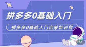 六一电商·拼多多运营0-1实操特训营,拼多多从基础到进阶的可实操玩法-知一资源网