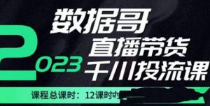 数据哥2023直播电商巨量千川付费投流实操课,快速掌握直播带货运营投放策略-知一资源网