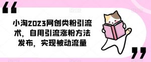 ​小淘2023网创类粉引流术，自用引流涨粉方法发布，实现被动流量-知一资源网