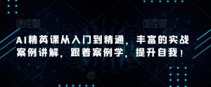 AI精英课从入门到精通,丰富的实战案例讲解,跟着案例学,提升自我!-知一资源网