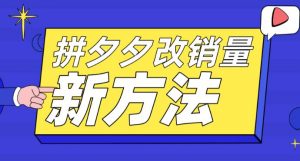 拼多多改销量新方法+卡高投产比操作方法+测图方法等-知一资源网