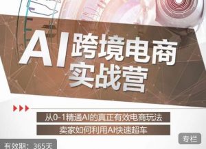 白龙老师·AI跨境电商实战营:从0-1精通Al的真正有效电商玩法,卖家如何利用Al快速超车-知一资源网