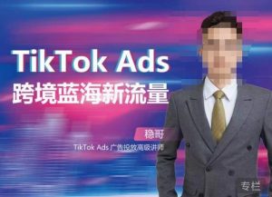 稳哥·如何投出高ROI的TikTok广告,开拓独立站卖家流量新蓝海-知一资源网