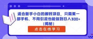 适合新手小白的搬砖项目,只需要一部手机、不用引流也能做到日入300+【揭秘】-知一资源网