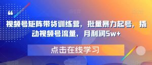 视频号矩阵带货训练营,批量暴力起号,撬动视频号流量,月利润5w+-知一资源网