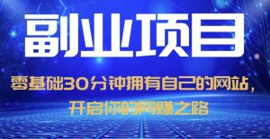 零基础30分钟拥有自己的网站,日赚1000+,开启你的网赚之路-知一资源网