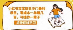 小红书宝宝取名冷门暴利项目,零成本一单赚几百,可操作一辈子-知一资源网