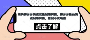 未央拼多多快速流量起爆实操,拼多多新品快速起爆实操,看完不走弯路-知一资源网