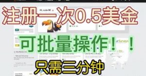 国外项目注册一次0.5美金，只需三分钟无脑操作，可批量同时放大操作，小白工作室福利【揭秘】-知一资源网