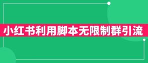 小红书利用脚本无限群引流日引创业粉300+【揭秘】-知一资源网
