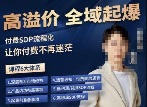逸风-拼多多高溢价全域起爆,6大课程体系,付费玩法全套实操-知一资源网