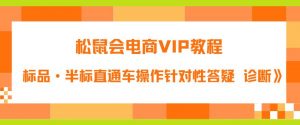 松鼠会电商VIP教程:松鼠《付费推广标品·半标直通车操作针对性答疑&诊断》-知一资源网