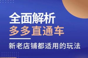 全面解析多多直通车,新老店铺都适用的玩法-知一资源网