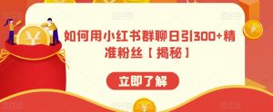 如何用小红书群聊日引300+精准粉丝【揭秘】-知一资源网