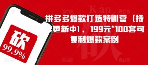 拼多多爆款打造特训营(持续更新中),199元*100套可复制爆款案例-知一资源网