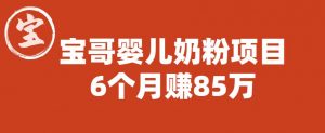 宝哥婴儿奶粉项目,6个月赚85w【图文非视频】【揭秘】-知一资源网