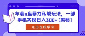车载u盘暴力私域玩法,一部手机实现日入300+【揭秘】-知一资源网