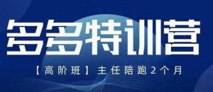 纪主任·5月最新多多特训营高阶班,玩法落地实操,多多全掌握-知一资源网
