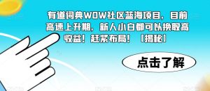 有道词典WOW社区蓝海项目,目前高速上升期,新人小白都可以换取高收益!赶紧布局!【揭秘】-知一资源网