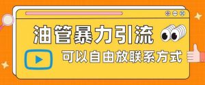 油管暴力引流,可以自由放联系方式【揭秘】-知一资源网