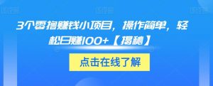 3个零撸赚钱小项目,操作简单,轻松日赚100+【揭秘】-知一资源网