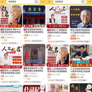 拆解小红书宝宝起名虚拟副业项目,一条龙实操玩法分享给你(教程+软件)-知一资源网