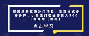 超简单的蓝海冷门项目,变现方式多种多样,小白无门槛操作日入500+很简单【揭秘】-知一资源网