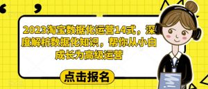 2023淘宝数据化运营14式,深度解析数据化知识,帮你从小白成长为高级运营-知一资源网