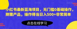 小红书最新蓝海项目,无门槛0基础操作,刚需产品,操作得当日入500+非常简单【揭秘】-知一资源网