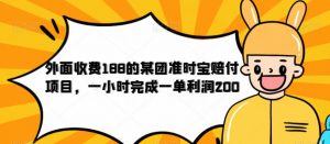 外面收费188的美团准时宝赔付项目，一小时完成一单利润200【仅揭秘】-知一资源网
