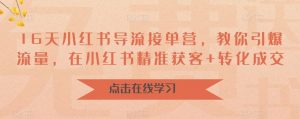 16天小红书导流接单营,教你引爆流量,在小红书精准获客+转化成交-知一资源网