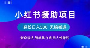 小红书援助项目新奇玩法,简单暴力,无脑搬运轻松日入500【揭秘】-知一资源网