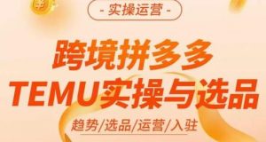 伍跃·跨境拼多多TEMU实操与选品,趋势/选品/运营/入住(27节完整)-知一资源网