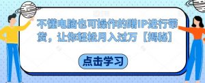 不懂电脑也可操作的蹭IP进行带货,让你轻松月入过万【揭秘】-知一资源网