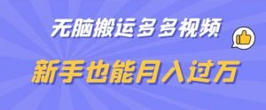 无脑搬运多多视频,新手也能月入过万【揭秘】-知一资源网