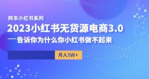 阿本小红书无货源电商3.0,告诉你为什么你小红书做不起来-知一资源网