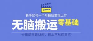 揭秘最新爆火无脑搬运故事桥段撸金项目,零基础可月入上万【全套详细玩法教程】-知一资源网