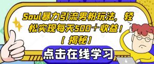 Soul暴力引流男粉玩法,轻松实现每天500+收益!【揭秘】-知一资源网