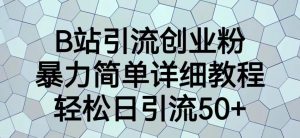 B站引流创业粉,暴力简单详细教程,轻松日引流50+【揭秘】-知一资源网