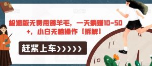 极速版无费用薅羊毛,一天躺赚10-50+,小白无脑操作【拆解】-知一资源网