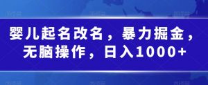 婴儿起名改名,暴力掘金,无脑操作,日入1000+【揭秘】-知一资源网