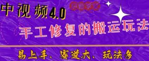 中视频4.0赛道:新手福音,一小时制作,三天过计划,7天看效果【揭秘】-知一资源网