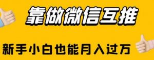 靠做微信互推,新手小白也能月入过万【揭秘】-知一资源网