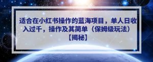 适合在小红书操作的蓝海项目,单人日收入过千,操作及其简单(保姆级玩法)【揭秘】-知一资源网
