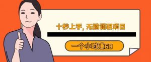 十秒钟上手,一个小时60元暴利无脑调研项目【揭秘】-知一资源网