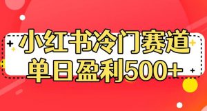 小红书冷门赛道，单日盈利500+【揭秘】-知一资源网